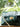 Green handbag with floral details and gold chain strap against a blurred plant background