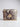 Snake print handbag with gold chain strap on a light gray background
