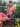 Woman in a pink outfit holding a blue Elyse & i Otis snakeprint navy handbag, sitting on a bench with plants in the background.